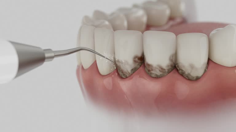 Reliable Dental contractor in Brownsville, PA by Dentist Open Now